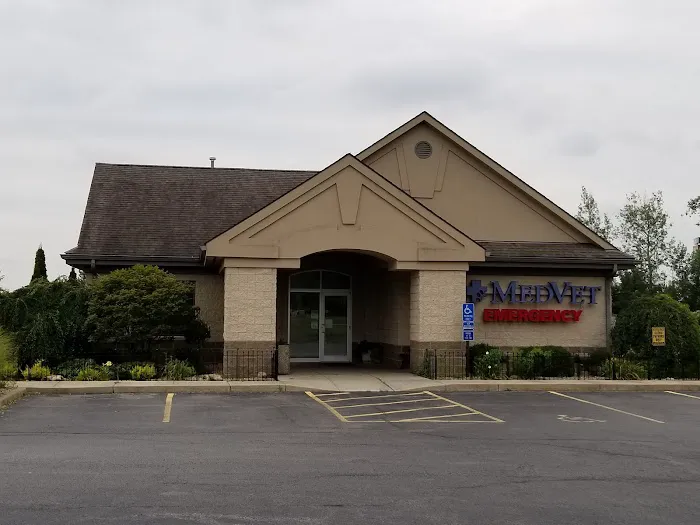 MedVet Urgent Care - Mahoning Valley Picture 8