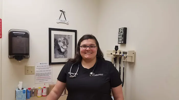 MedVet Urgent Care - Mahoning Valley Picture 3