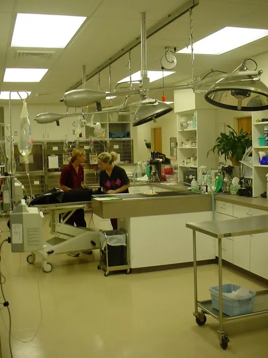 MedVet Urgent Care - Mahoning Valley Picture 6