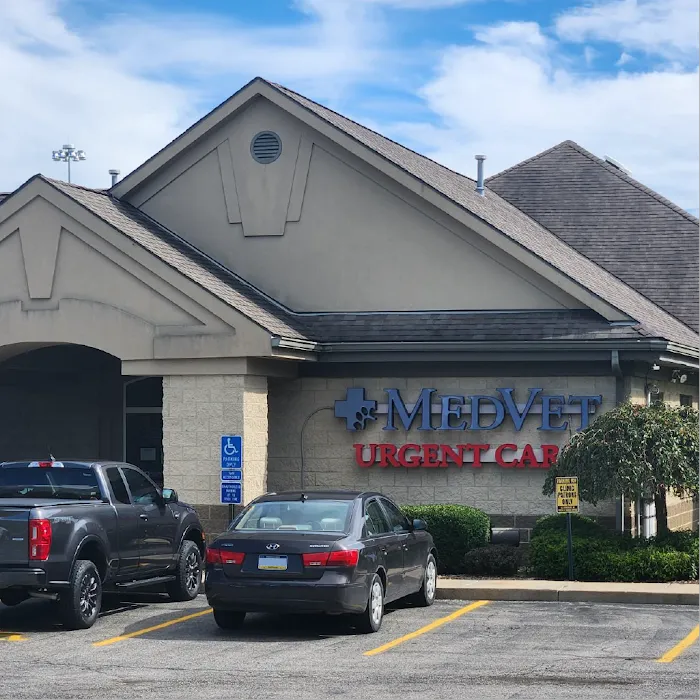 MedVet Urgent Care - Mahoning Valley Picture 10