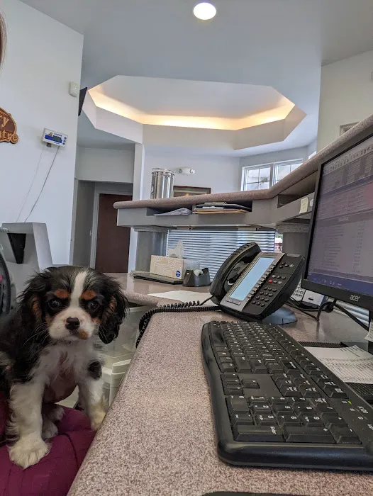 Poland Veterinary Centre Picture 10