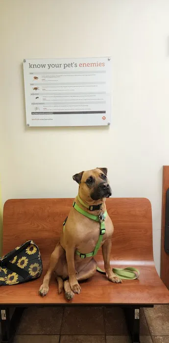 Banfield Pet Hospital Picture 2