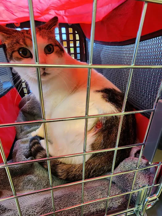 Crago Veterinary Center Picture 4