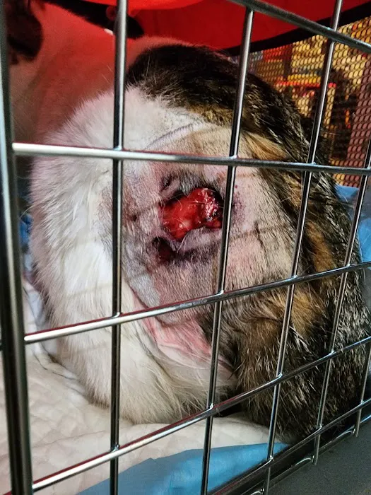 Crago Veterinary Center Picture 3