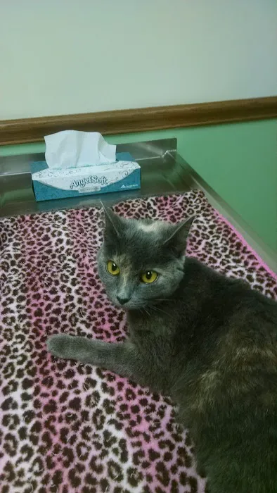 South Mill Veterinary Clinic Picture 9