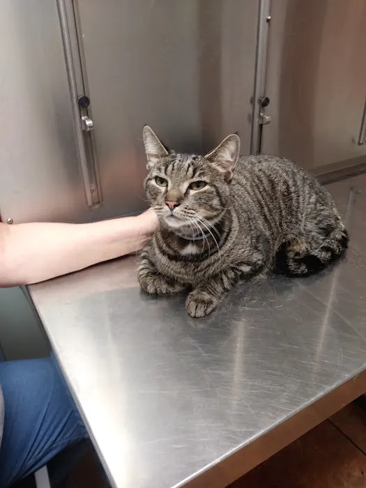 Ebert Animal Hospital Picture 3
