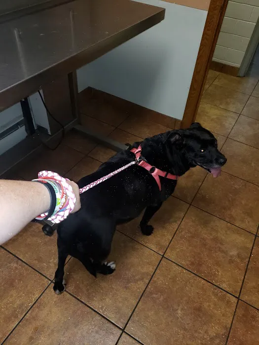 Ebert Animal Hospital Picture 9