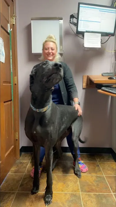 Mahoning Valley Veterinary Centre Picture 3