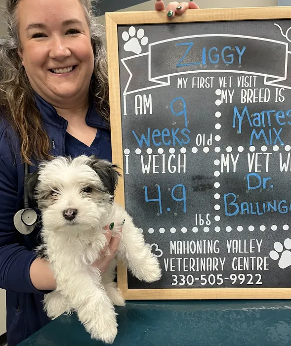 Mahoning Valley Veterinary Centre Picture 6
