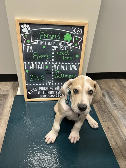 Mahoning Valley Veterinary Centre Picture 7