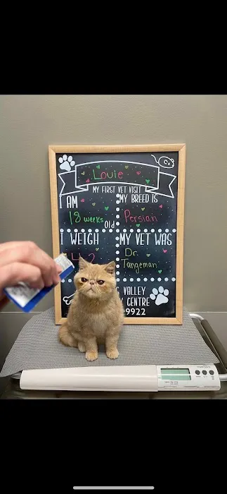 Mahoning Valley Veterinary Centre Picture 10