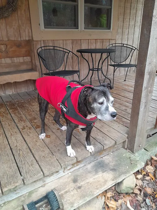 East Park Veterinary Clinic Picture 1
