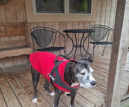 East Park Veterinary Clinic