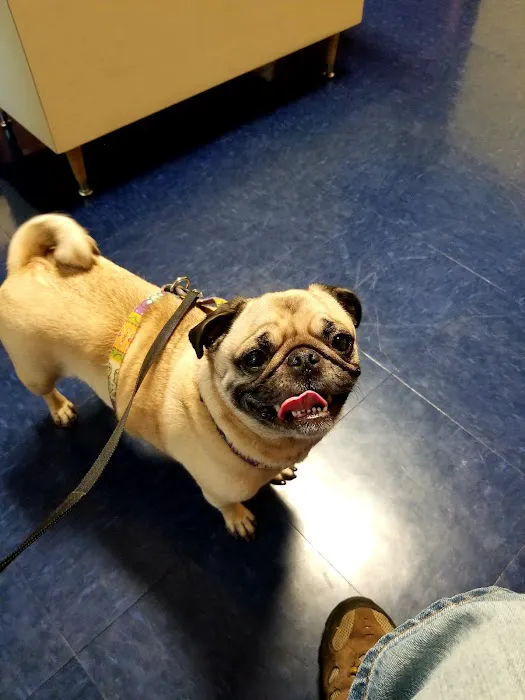 East Park Veterinary Clinic Picture 8