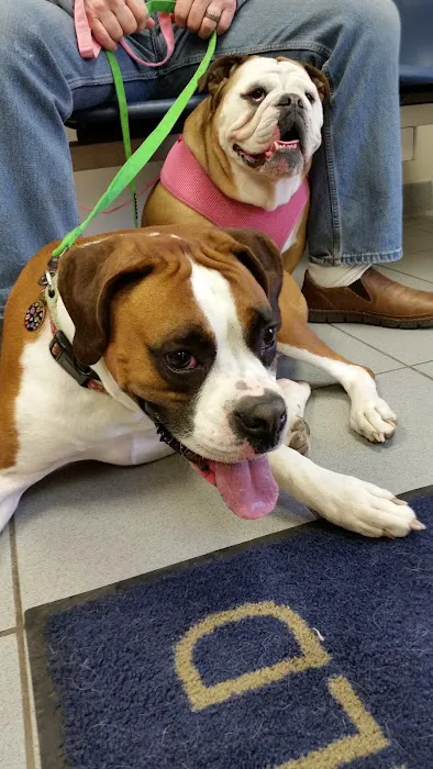 Fairfield Animal Hospital Picture 2