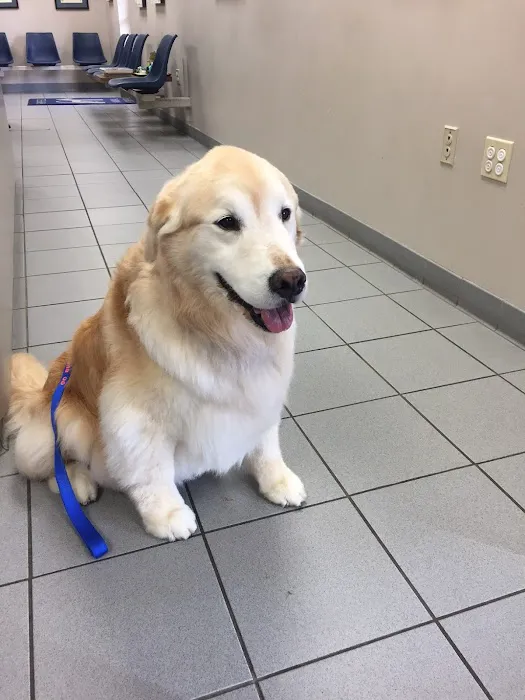 Fairfield Animal Hospital Picture 4