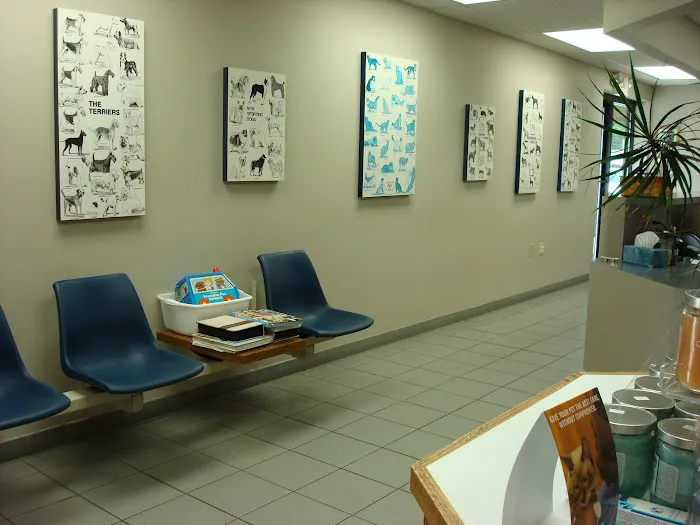Fairfield Animal Hospital Picture 5