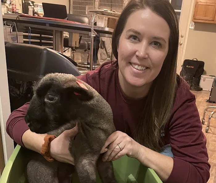 Gustavus Veterinary Services Picture 9