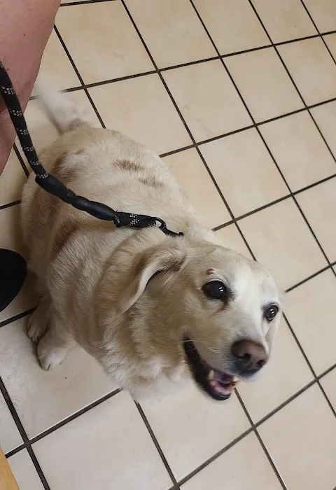 Community Animal Clinic Picture 9