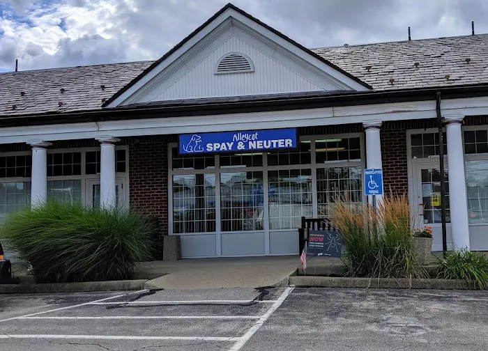 Alleycat Spay and Neuter Clinic Picture 5
