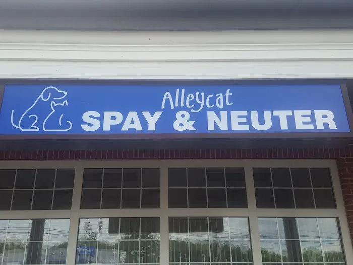 Alleycat Spay and Neuter Clinic Picture 7