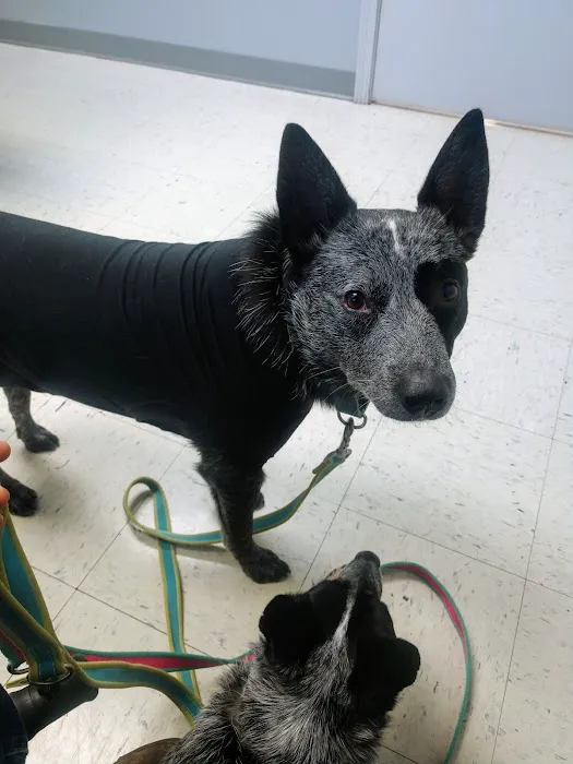 Sunny Ridge Veterinary Services LLC. Picture 6