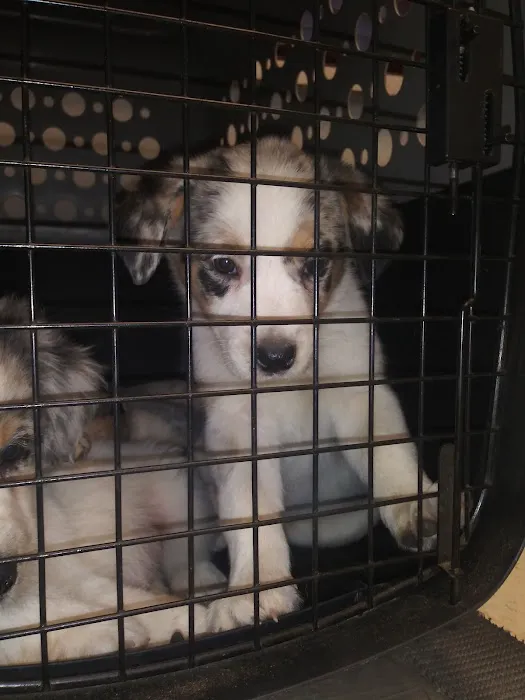 Sunny Ridge Veterinary Services LLC. Picture 7