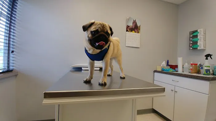 Sunny Ridge Veterinary Services LLC. Picture 8