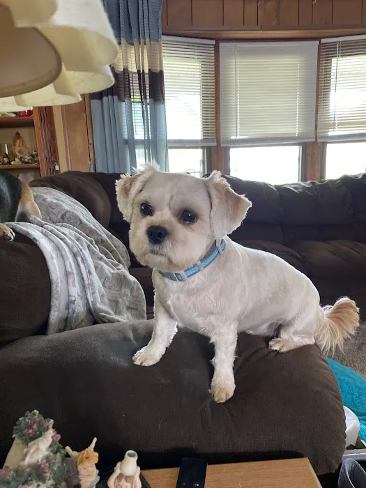 Carrollton Animal Hospital Picture 2
