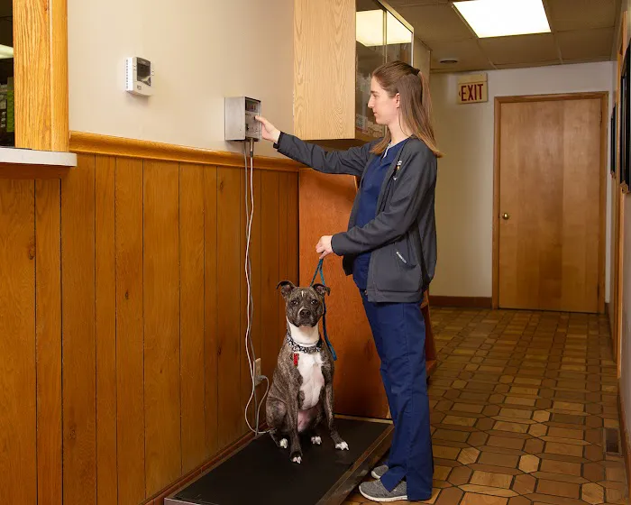 Carrollton Animal Hospital Picture 9