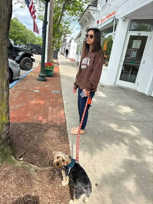 Sandy Paws Veterinary Clinic - Dr Molly Miosek Picture 3