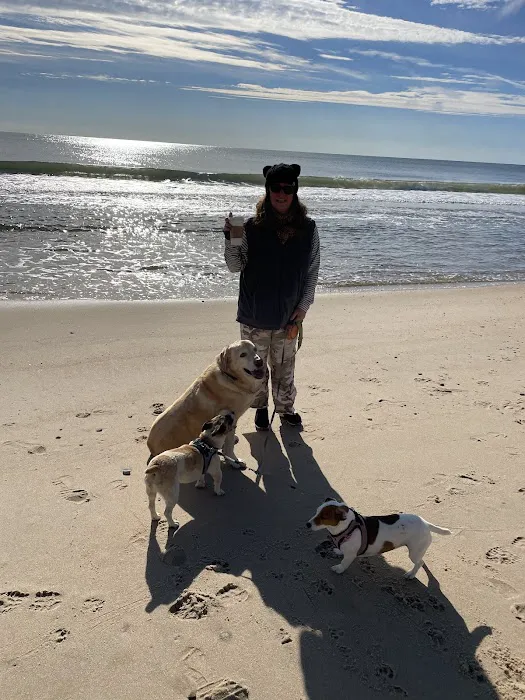Sandy Paws Veterinary Clinic - Dr Molly Miosek Picture 8