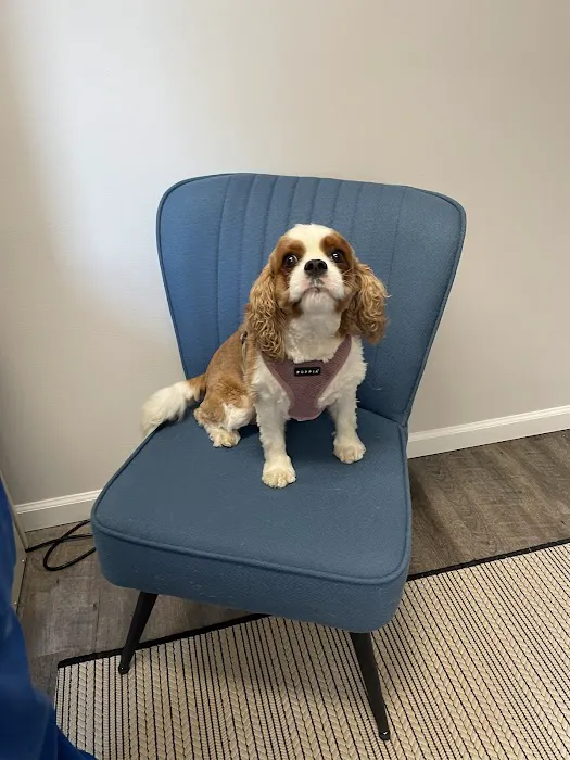 Sandy Paws Veterinary Clinic - Dr Molly Miosek Picture 10