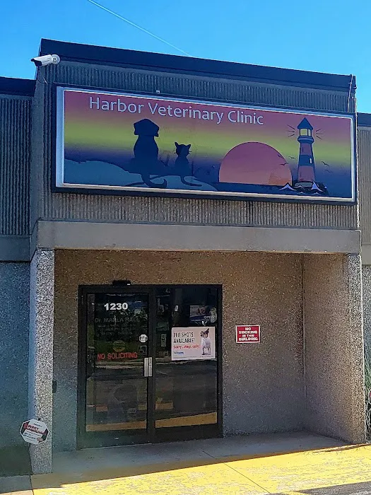 Harbor Veterinary Clinic Picture 9