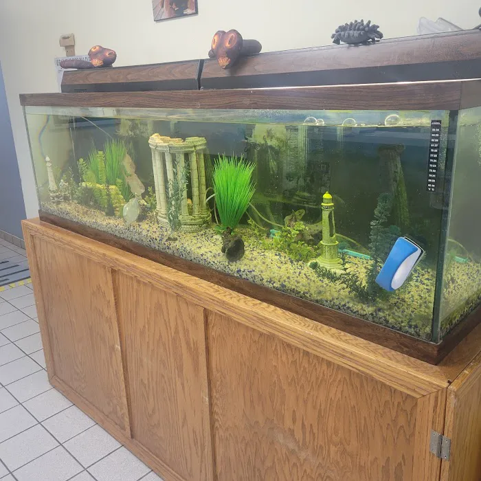 Pleasant's Animal Hospital Inc Picture 2