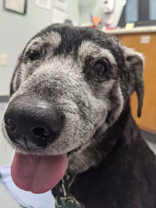 Jefferson Veterinary Clinic Picture 4