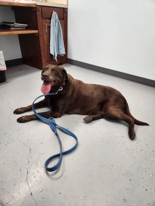 Jefferson Veterinary Clinic Picture 7