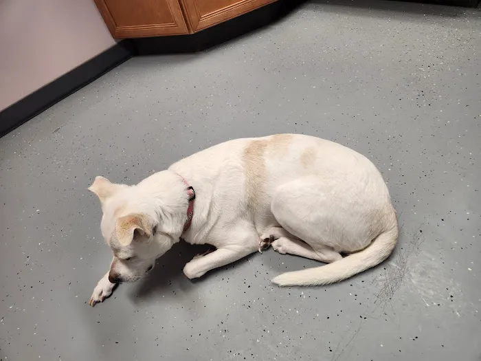 Jefferson Veterinary Clinic Picture 6