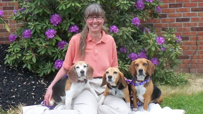 Country Doctor Veterinary Clinic Picture 3