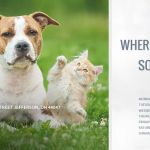 Country Doctor Veterinary Clinic
