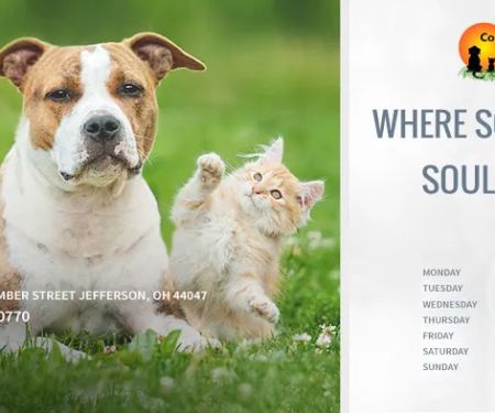 Country Doctor Veterinary Clinic