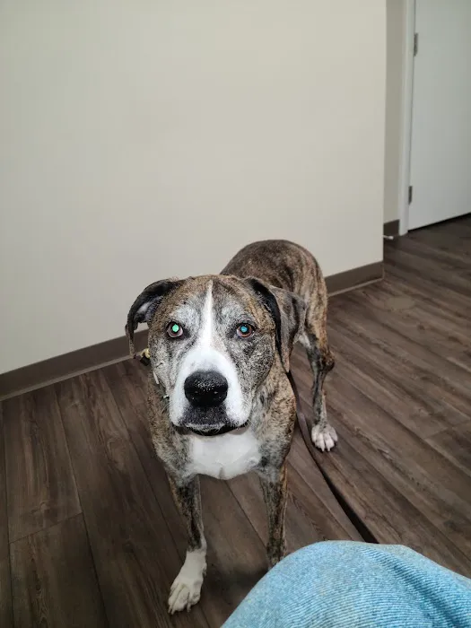 Austinburg Veterinary Clinic Picture 6