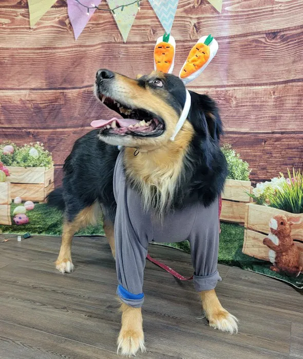 Austinburg Veterinary Clinic Picture 8