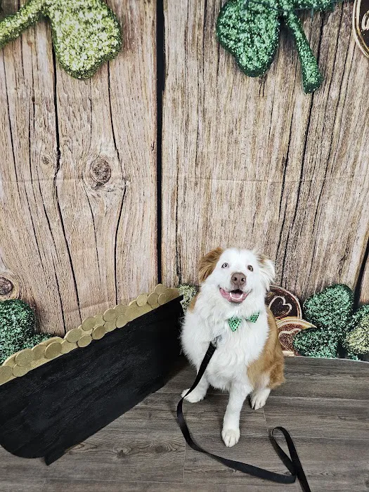 Austinburg Veterinary Clinic Picture 10