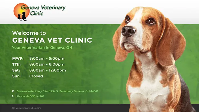 Geneva Veterinary Clinic Picture 5