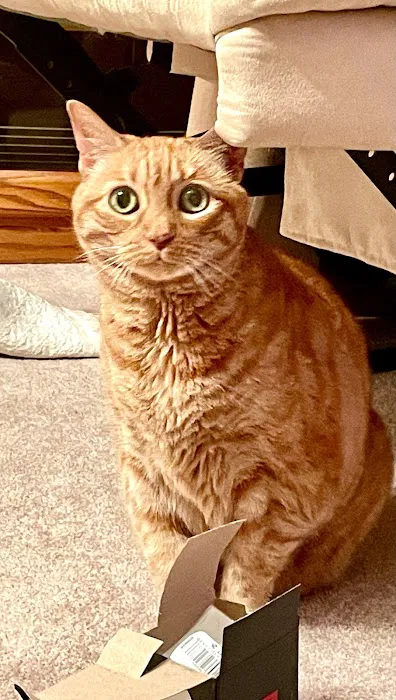 Companion Pet Care Picture 10