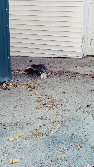 Littleton Area Veterinary Urgent Care Picture 4