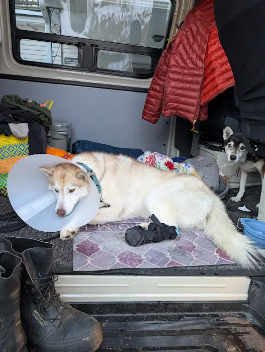 Littleton Area Veterinary Urgent Care Picture 7