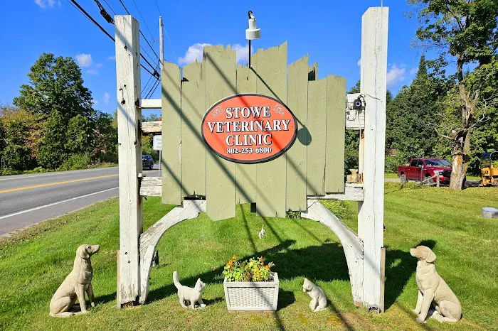 Stowe Veterinary Clinic Picture 3