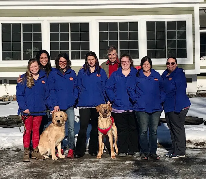 Stowe Veterinary Clinic Picture 8